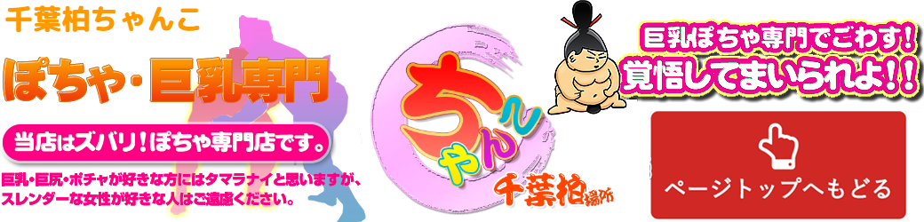 千葉柏ちゃんこ ロゴ