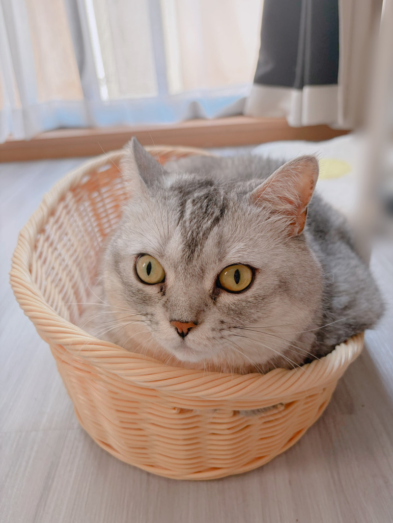 まきの写メ